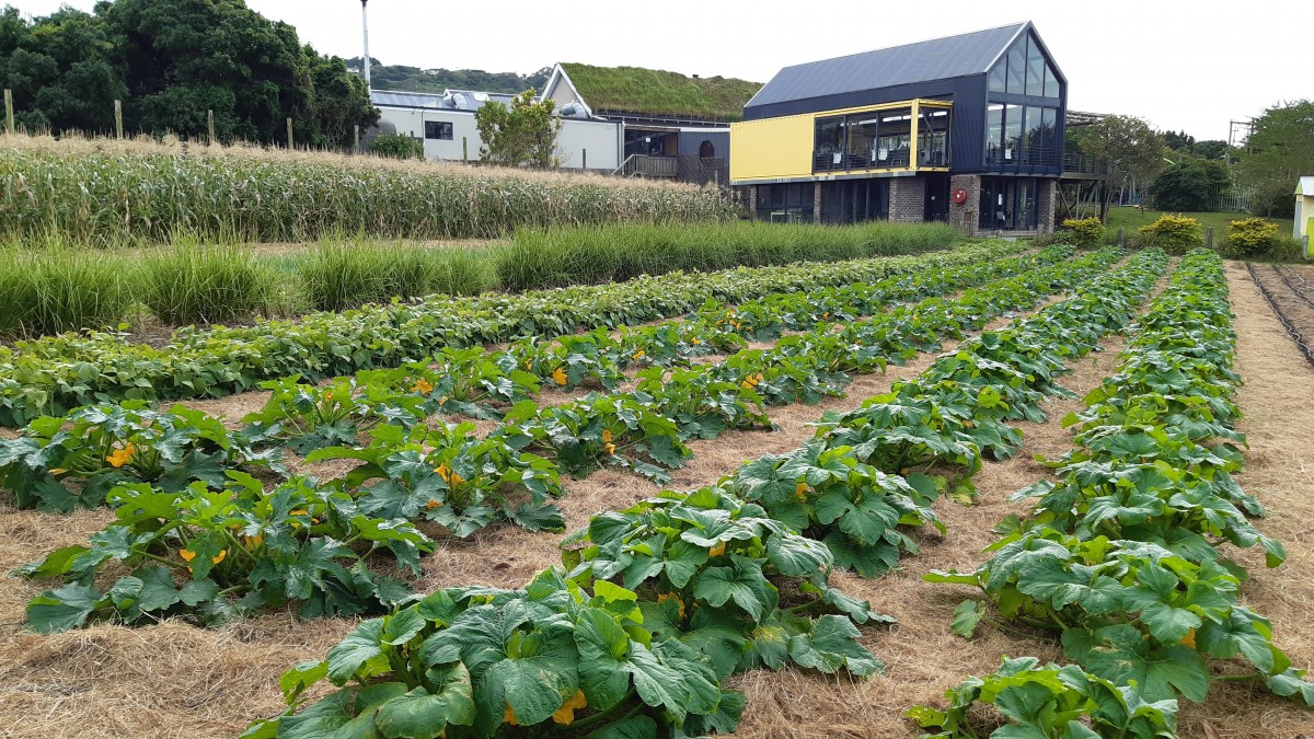 Farming God's Way 